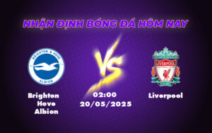 brighton hove albion liverpool 20 05 ngoai hang anh